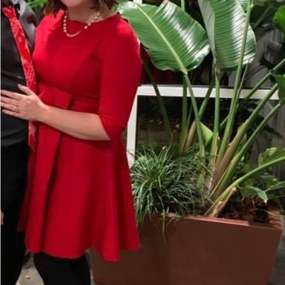 Red Dress - Picture 5 of 5